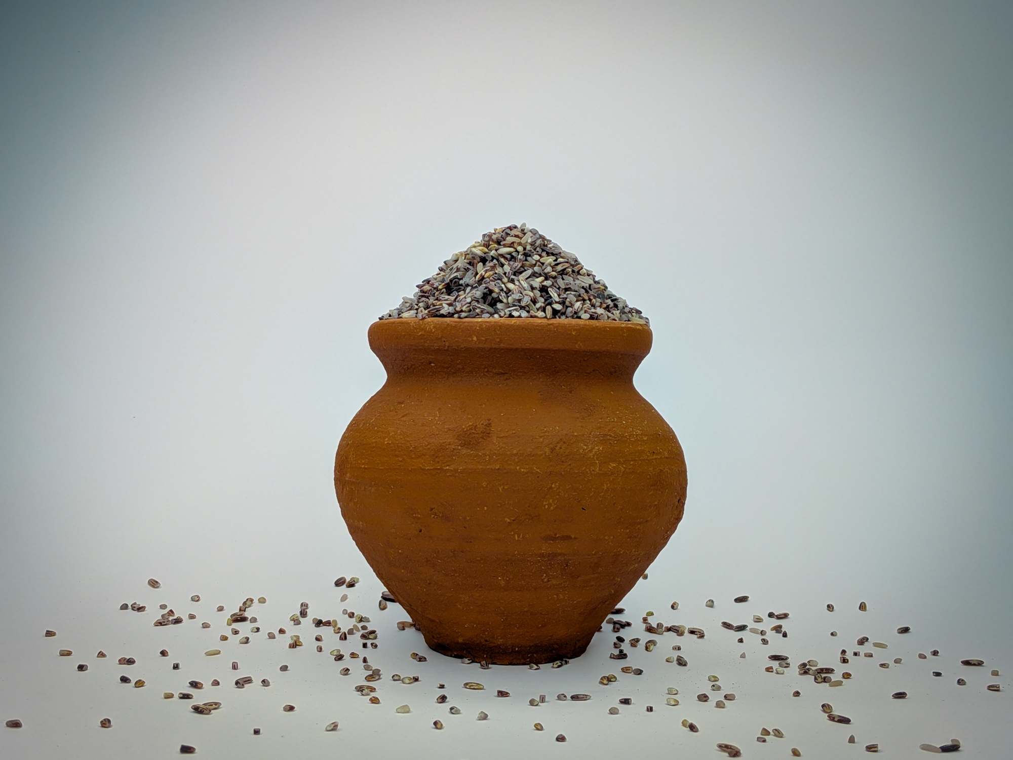 Karuppu Kavuni - Image 4